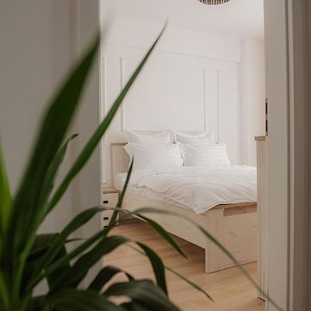 Modern Apartment In 티미쇼아라 외부 사진