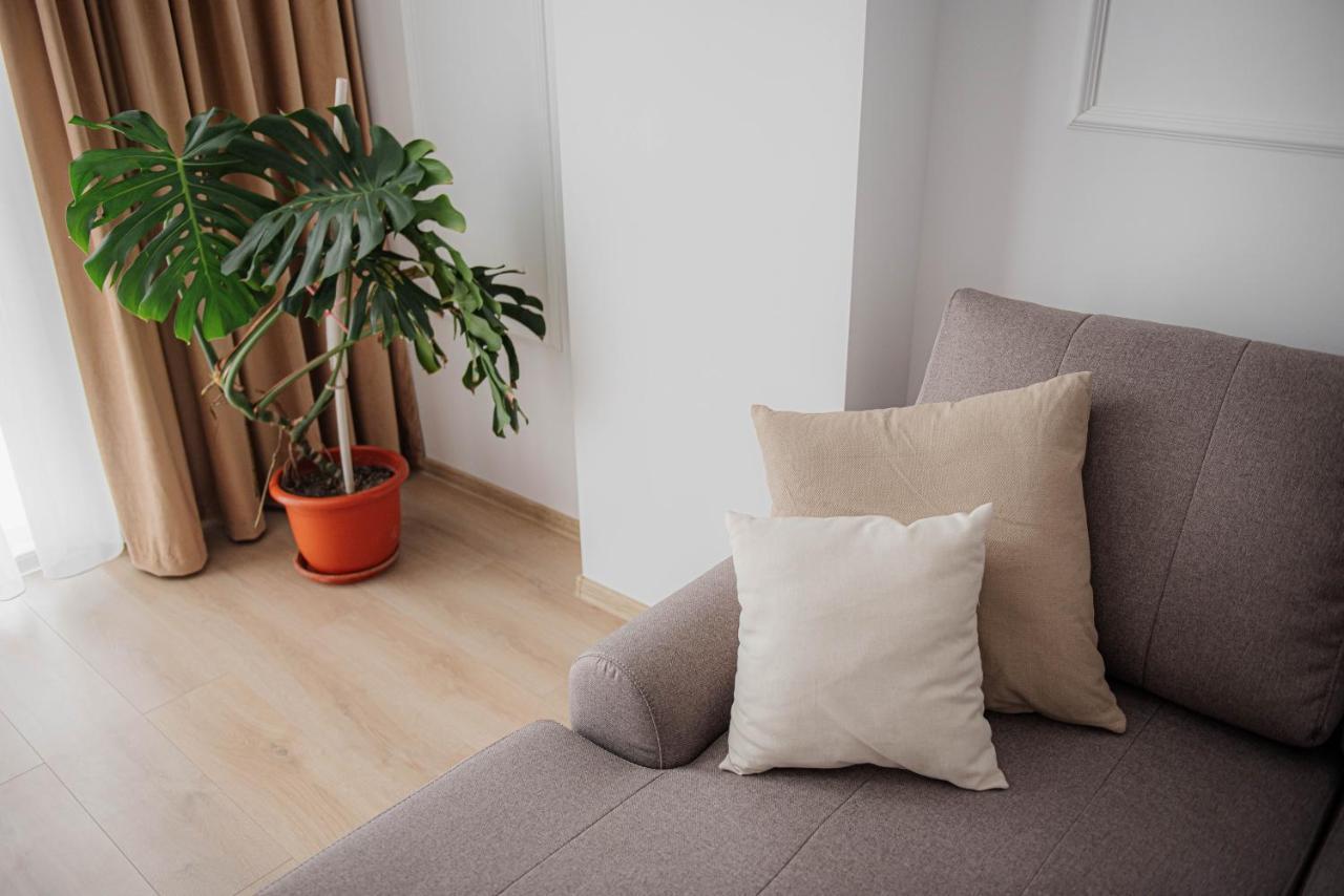 Modern Apartment In 티미쇼아라 외부 사진