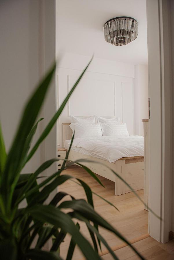 Modern Apartment In 티미쇼아라 외부 사진